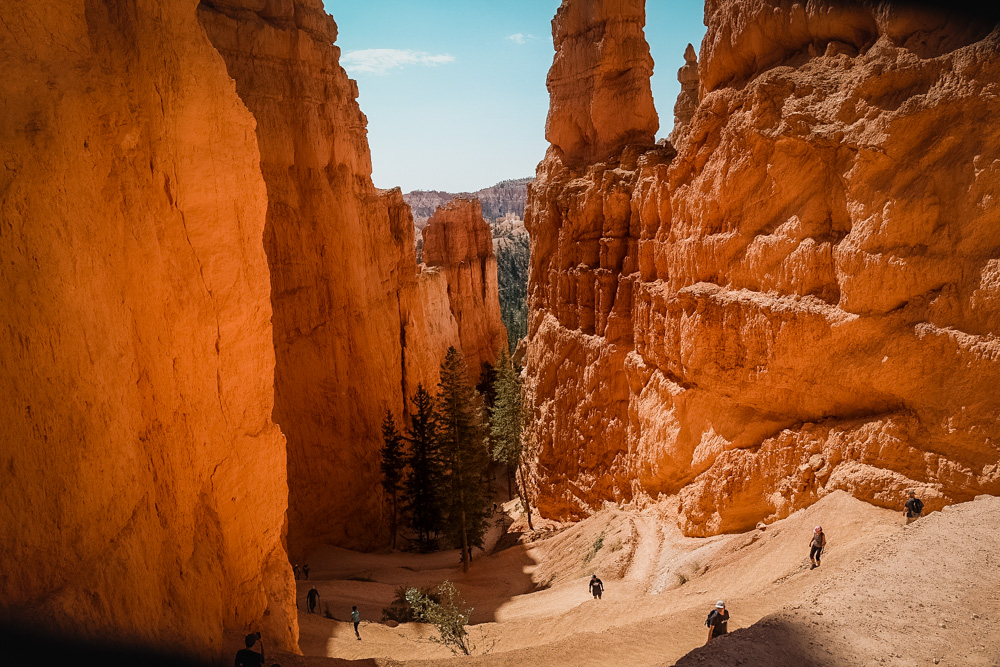 Bryce Canyon with Kids: Navajo Trail