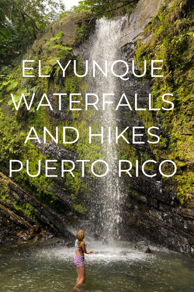el yunque waterfall tour