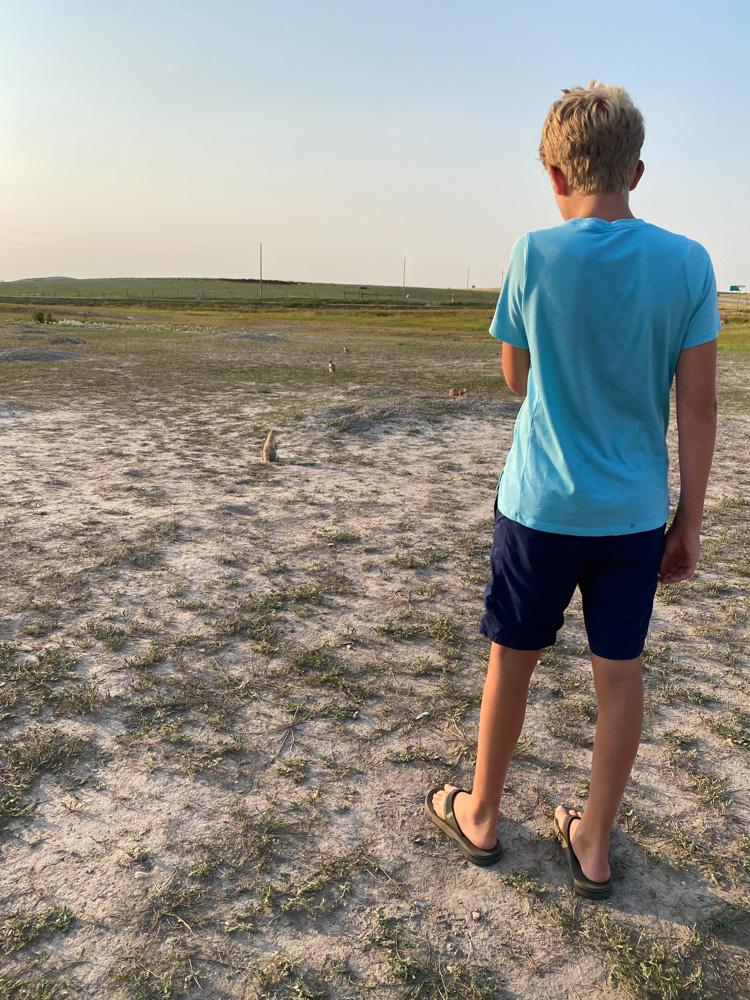 Badlands National Park Itinerary: Checking out the Prairie Dogs