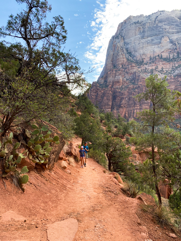 3 Amazing Zion National Park One Day Itineraries