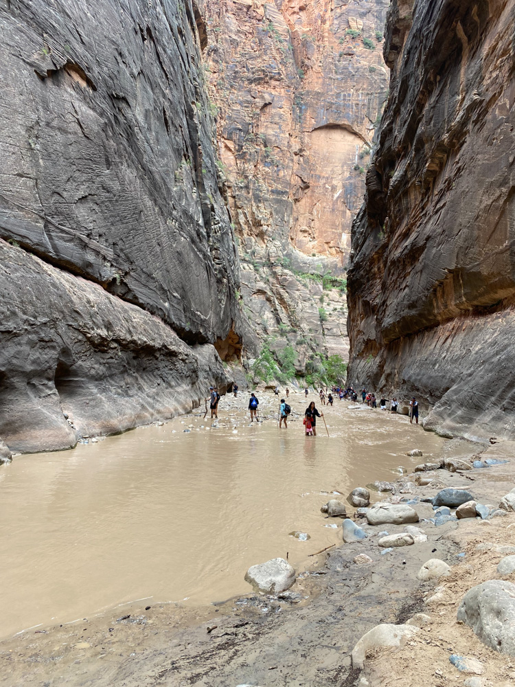 Zion National Park One Day Itinerary