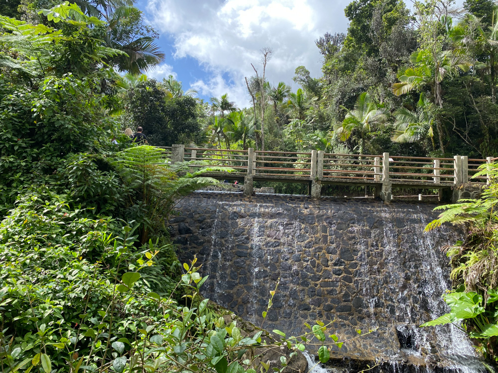 El Yunque Waterfalls: Bano Grande