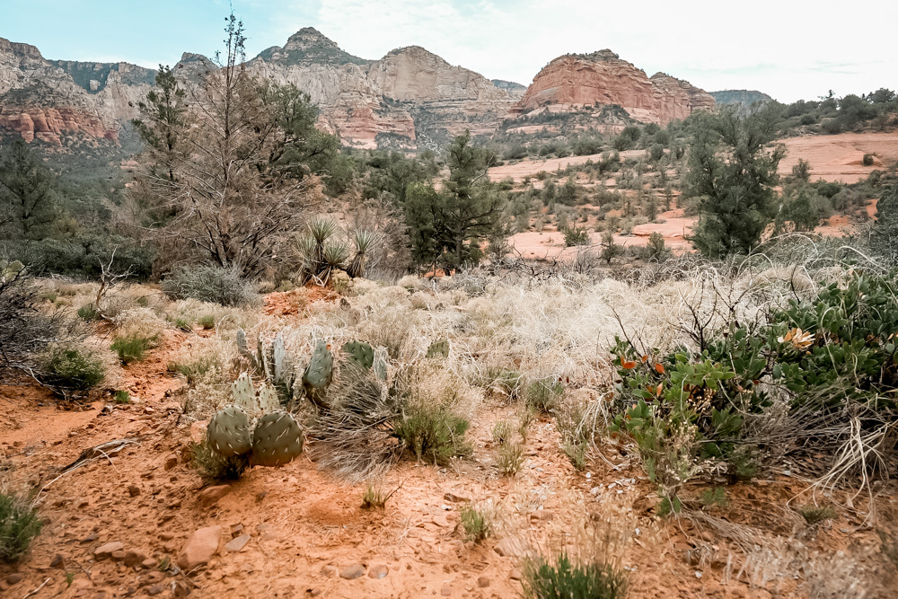 Top Things to do in Sedona: Go Hiking