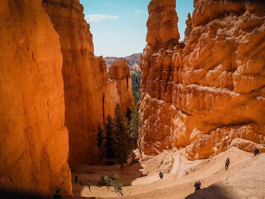 Bryce Canyon with Kids: Navajo Trail