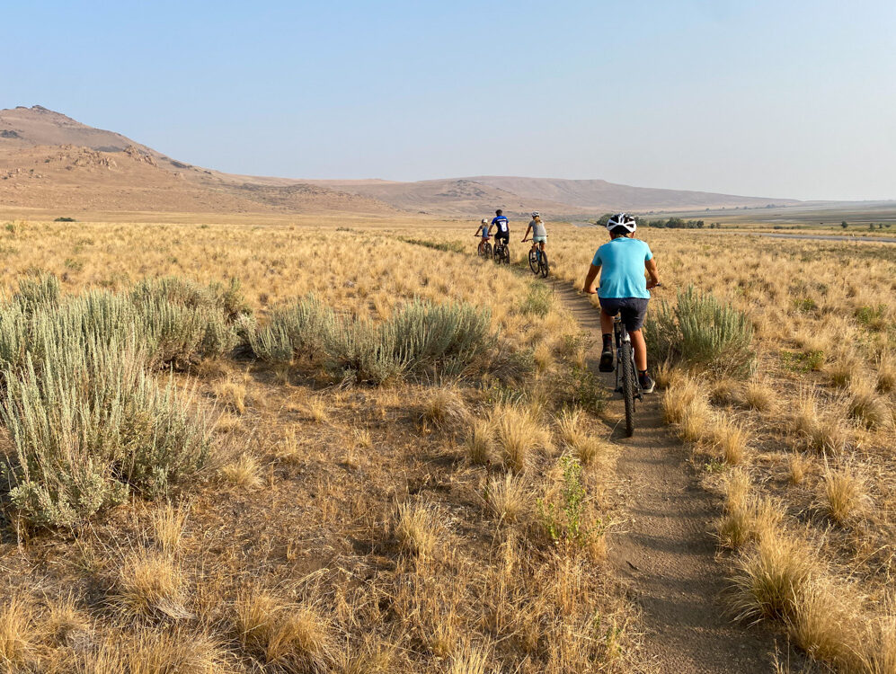 things to do at Antelope Island