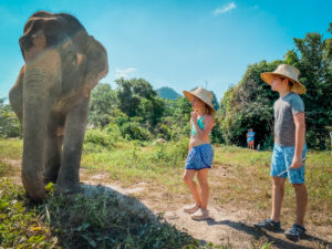 Krabi Elephant Sanctuary