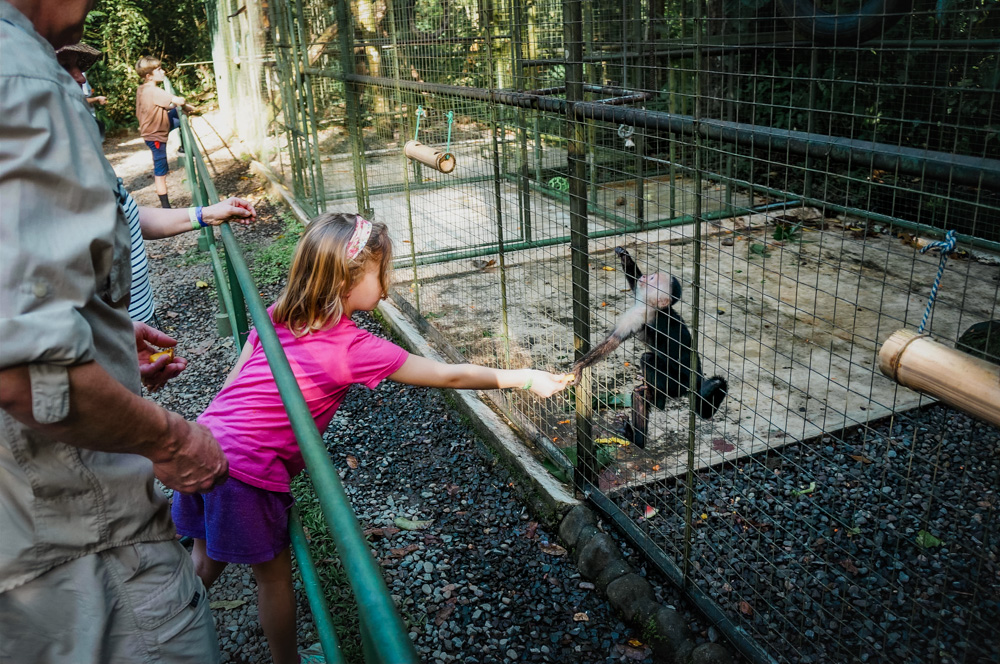 Things to do in La Fortuna: Visit the Animal Rescue