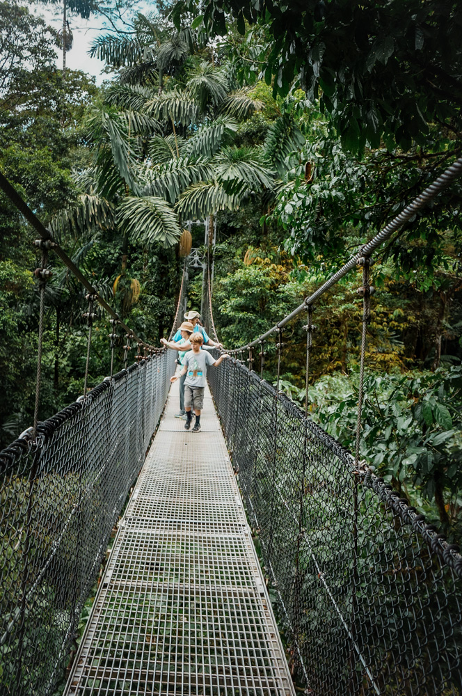 Things to do in La Fortuna: Mistico Hanging Bridges