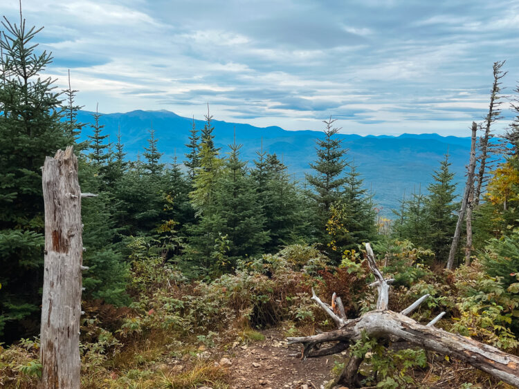 View from Mount Waumbek