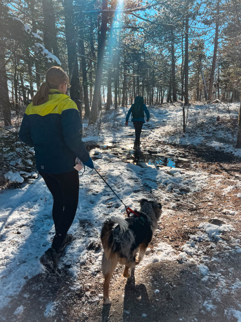 Hiking the Mount Major Trails in January