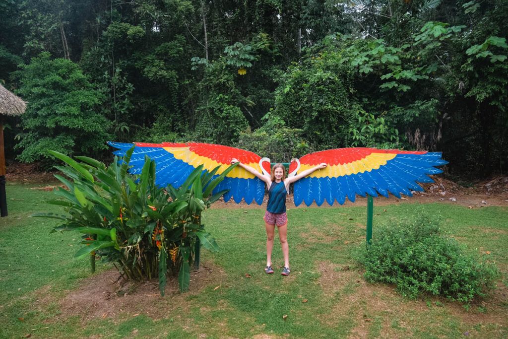 Ecuador Amazon Tour