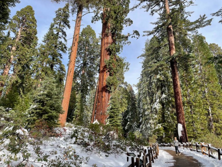Complete Guide to Visiting Sequoia National Park - Chasing ADVNTR
