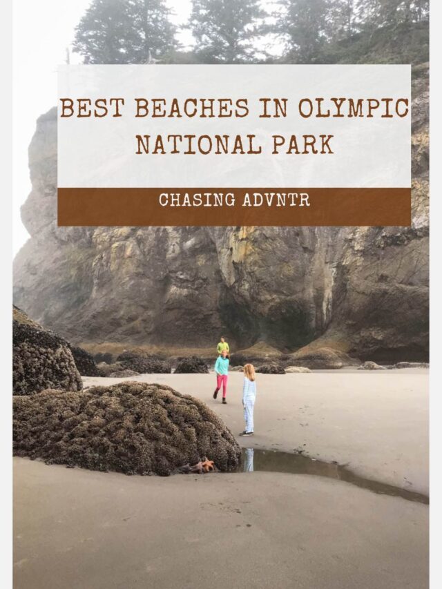Best Beaches in Olympic National Park