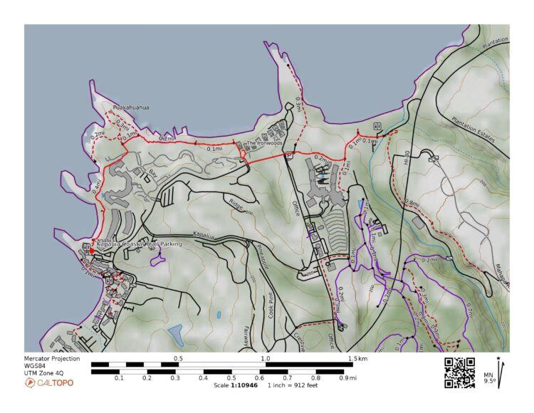 The Beautiful Kapalua Coastal Trail Chasing ADVNTR   Kapalua Coastal Trail 750x580 