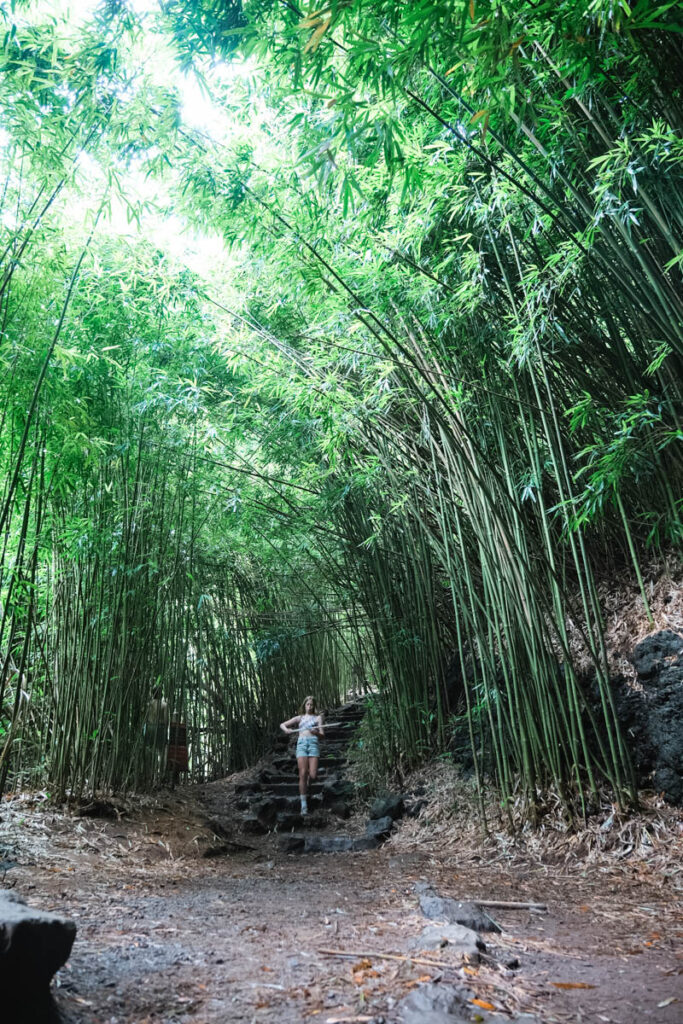 Pipiwai Trail Hike and Bamboo Forest Maui