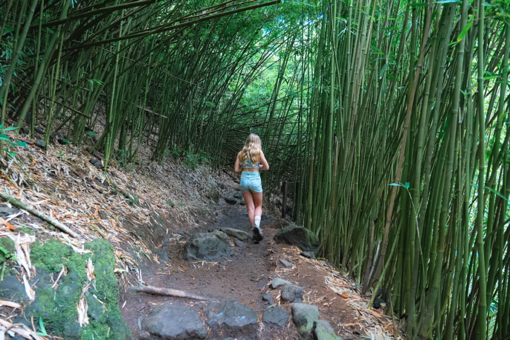 Things to do in Maui on a Budget: girl hiking the Pipiwai trail