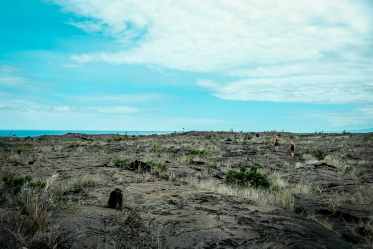 1 Day Ultimate Hawaii Volcano National Park Itinerary - Chasing ADVNTR