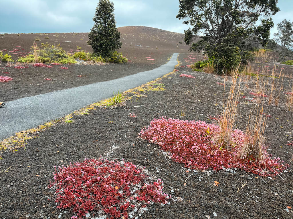 best day to visit volcano national park