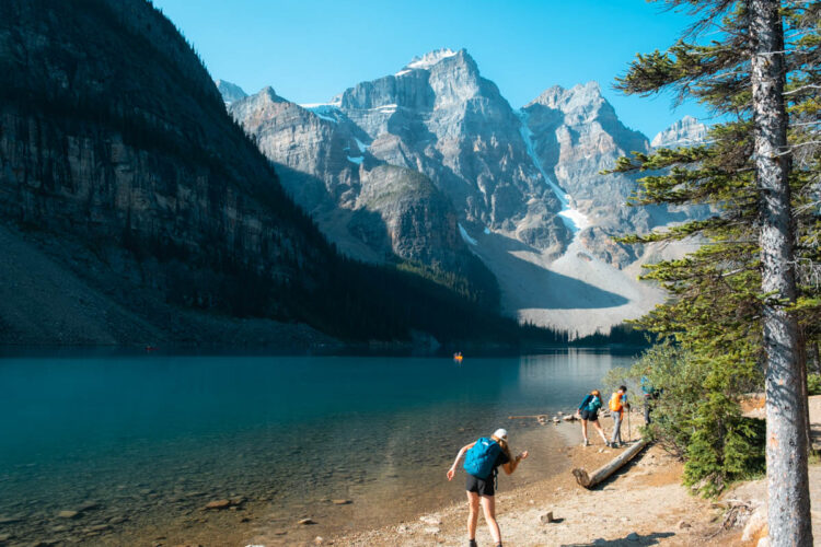 Lake Louise to Moraine Lake: How to Plan One Epic Day in Banff ...