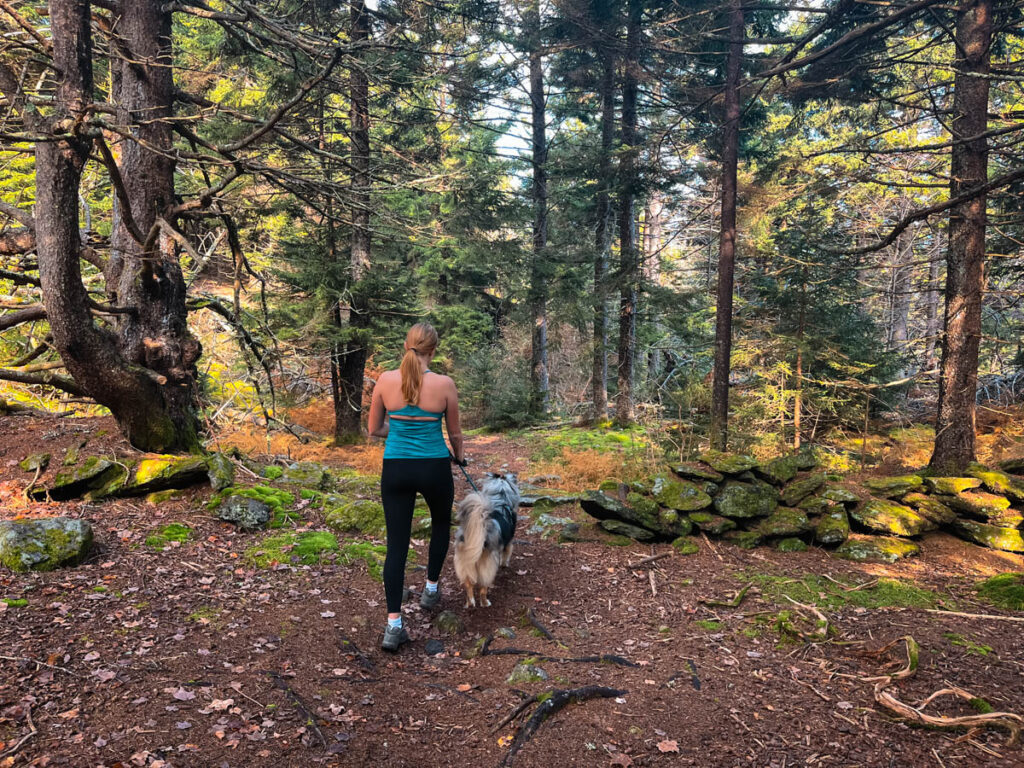 Hadley hiking with Calypso to North Pack Monadnock