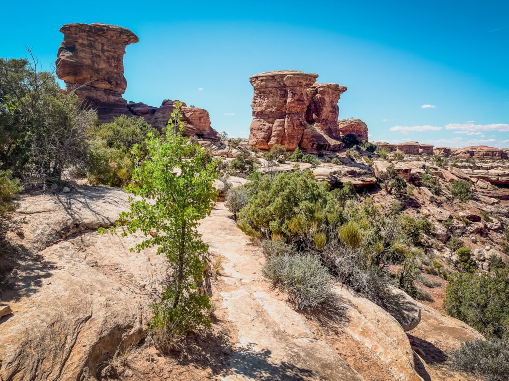 Canyonlands National Park Needles