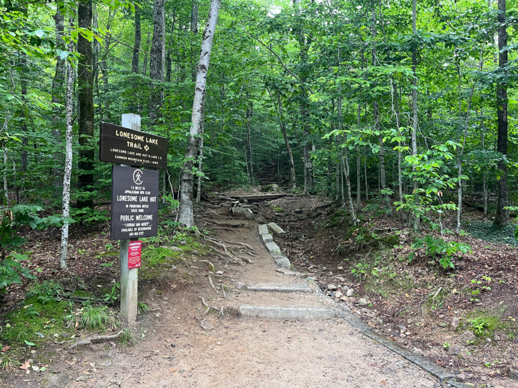 Hiking Cannon Mountain