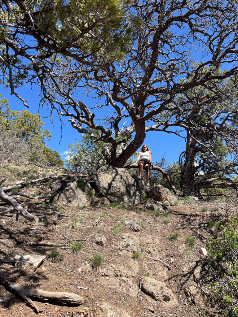 Hiking to Warner Point