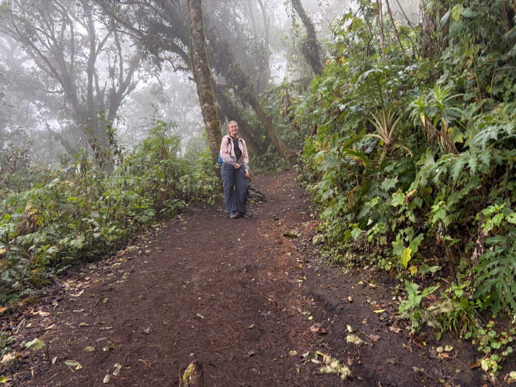 A Complete Guide to the Acatenango Volcano Hike for Views of Volcan Fuego