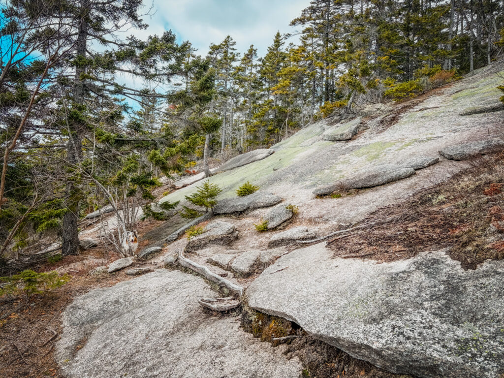 Hiking Mount Potash