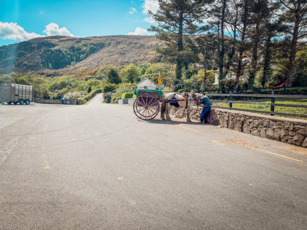 Horse Drawn Carriage Killarney: Gap of Dunloe