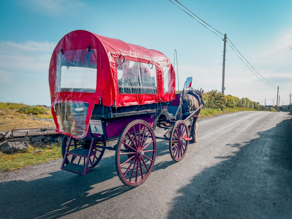 Pony and Trap Tours in Inishmore