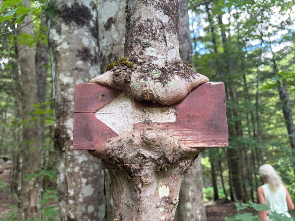 Lye Brook Falls Trail