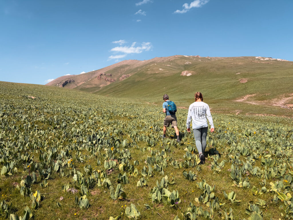 Kyrgystan Travel Guide