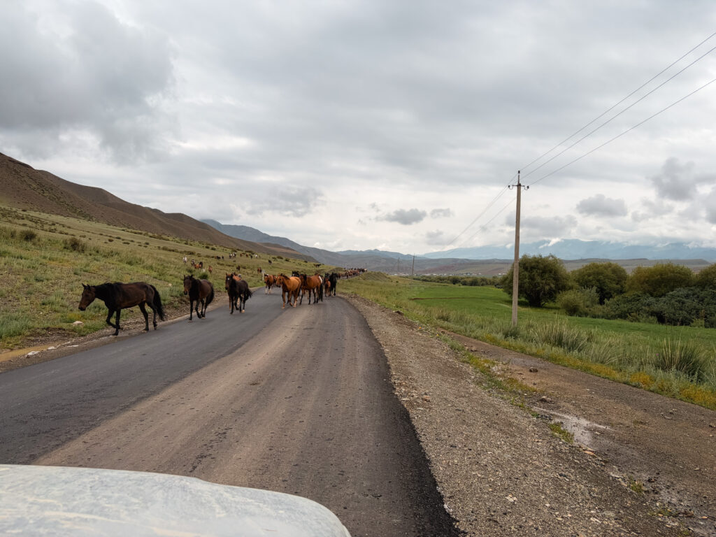 Song Kul Lake: Newly paved roads on the way up with horses in the way