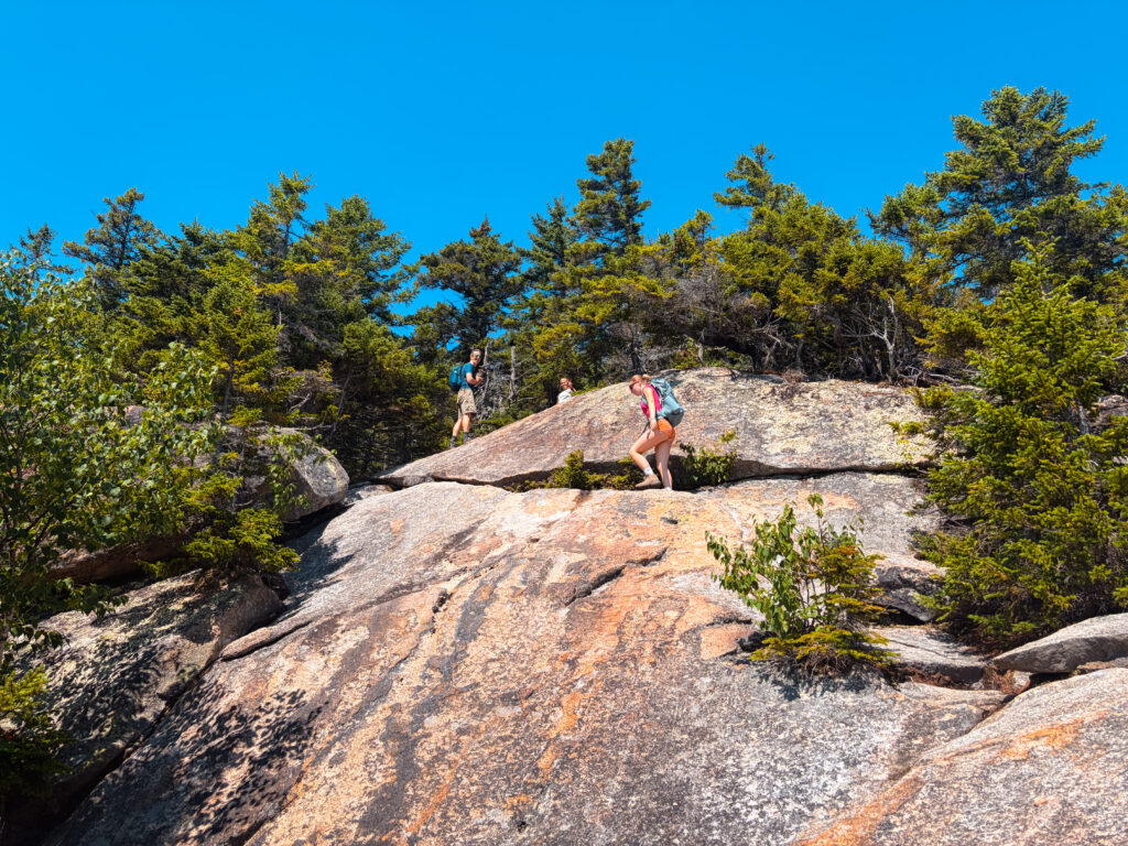 Whiteface and Passaconoway Loop Trail in NH