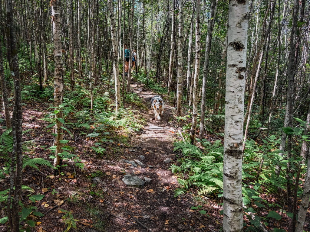 Hiking Iron Mountain