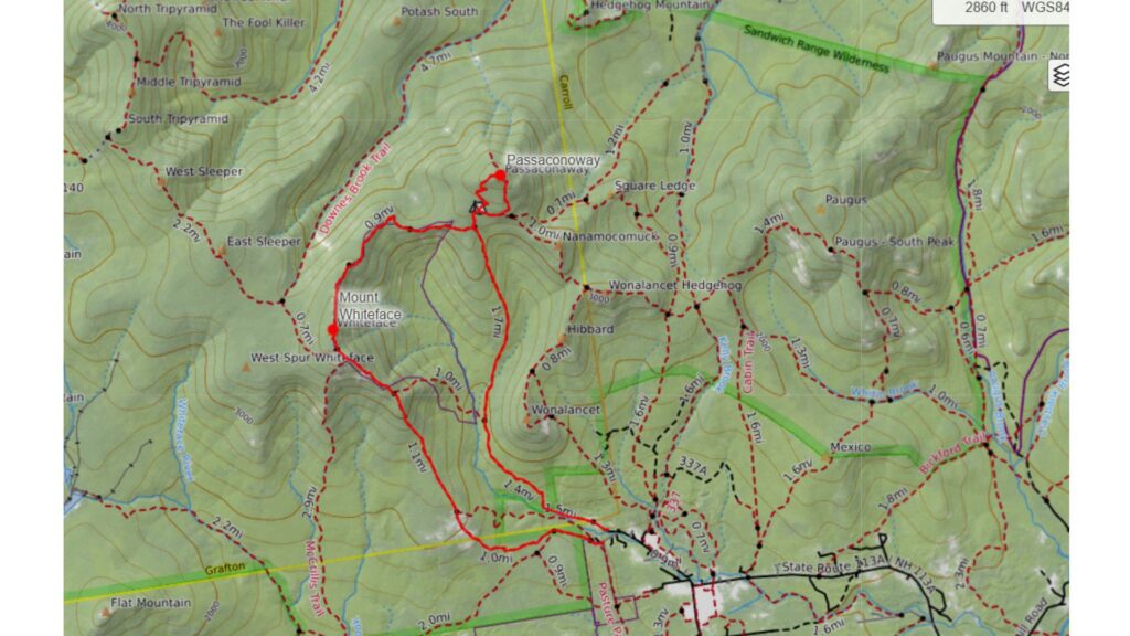Whiteface and Passaconoway Loop Trail
