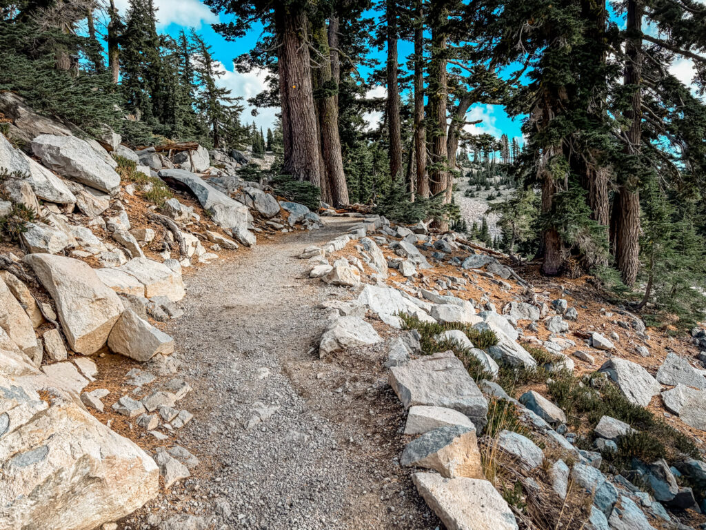 Details of the Bumpass Hell Hike
