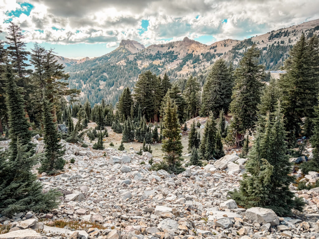 Details of the Bumpass Hell Hike