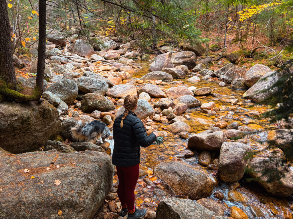 Details of how to Hike Jennings Peak and Sandwich Dome